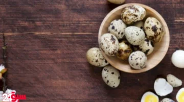 بيض السمان كنز غذائي لتقوية مناعة طفلك وحمايته من الأمراض